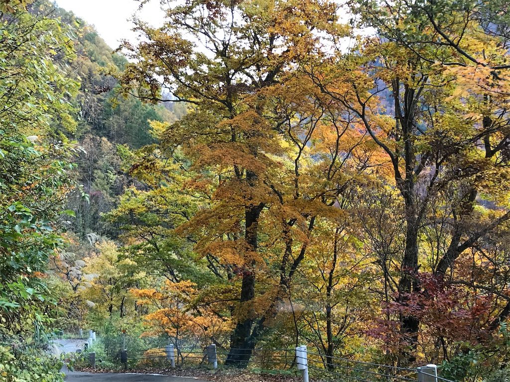 f:id:Mpapa:20191103180537j:image