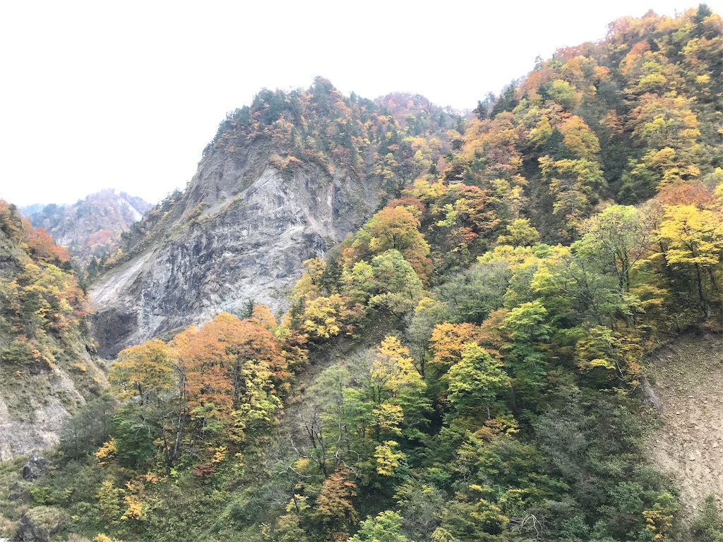 f:id:Mpapa:20191103180540j:image