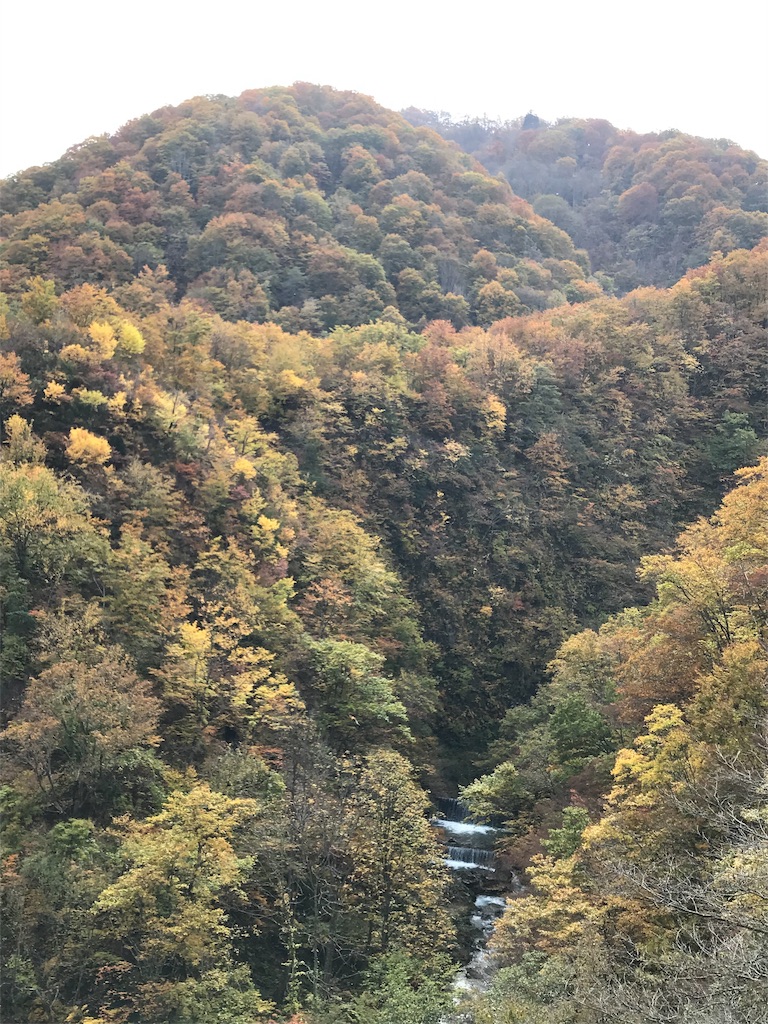 f:id:Mpapa:20191103180638j:image