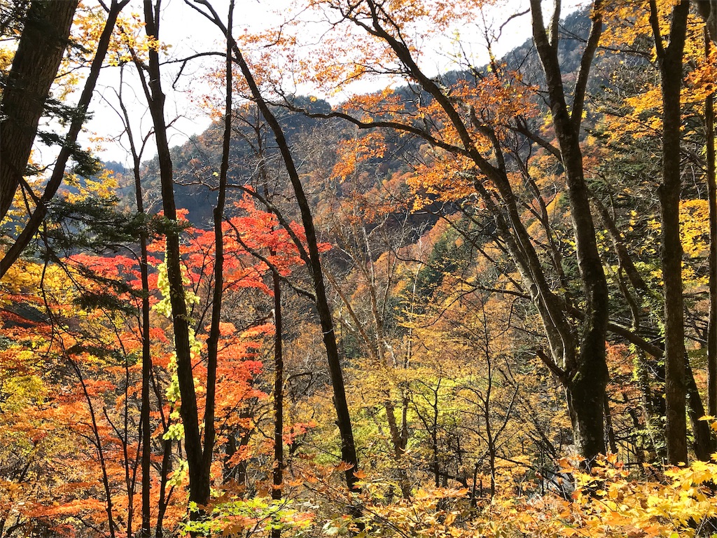 f:id:Mpapa:20191103180727j:image