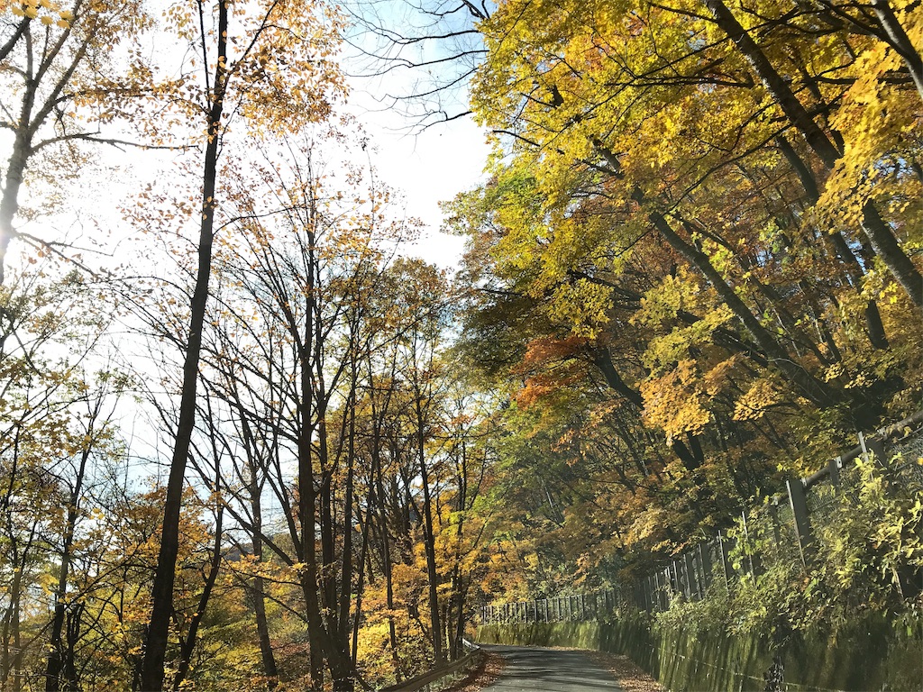 f:id:Mpapa:20191103180746j:image