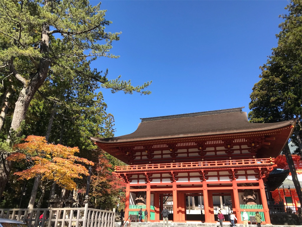 f:id:Mpapa:20191110105953j:image