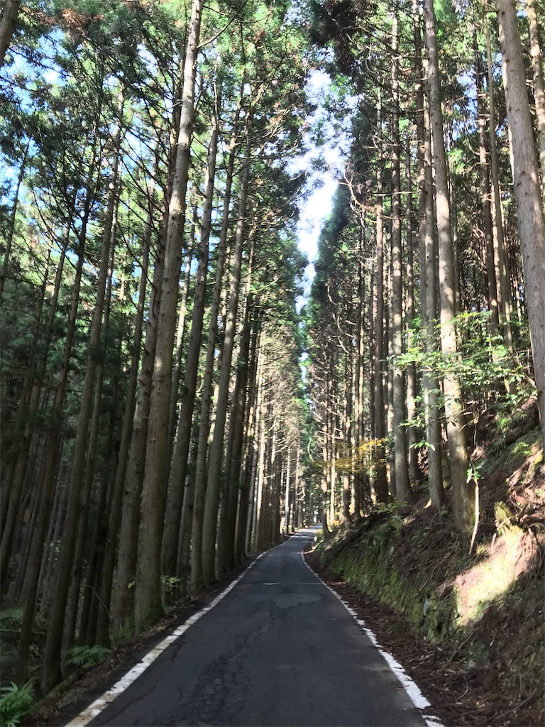 f:id:Mpapa:20191201191011j:image