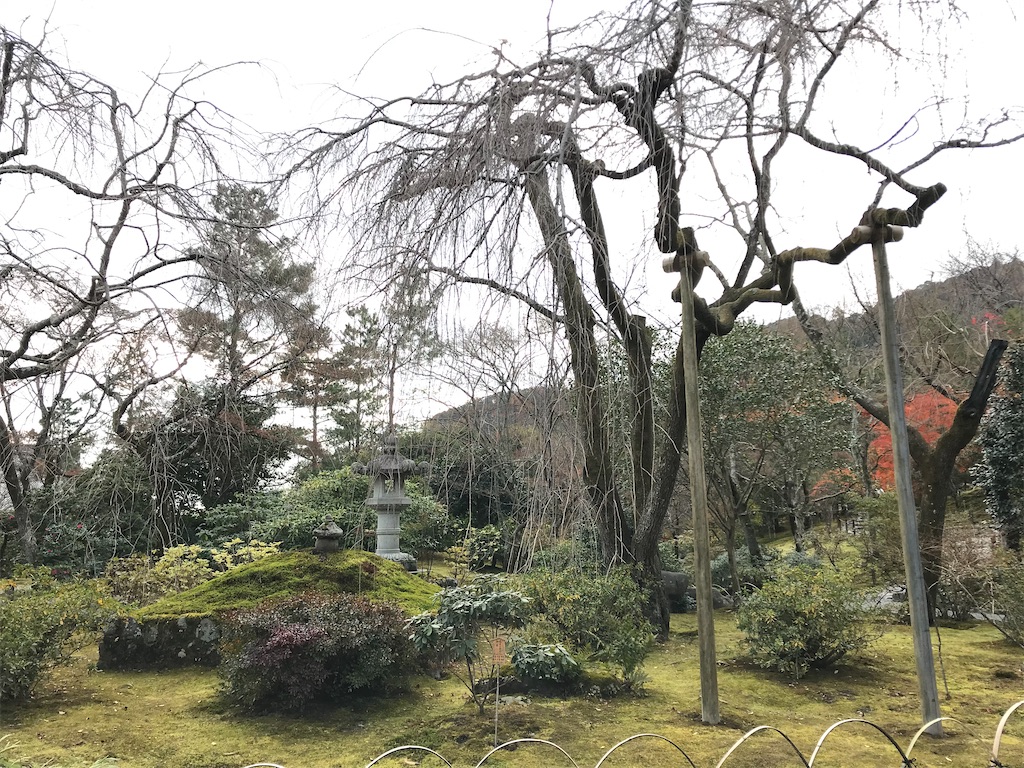 f:id:Mpapa:20191215165121j:image