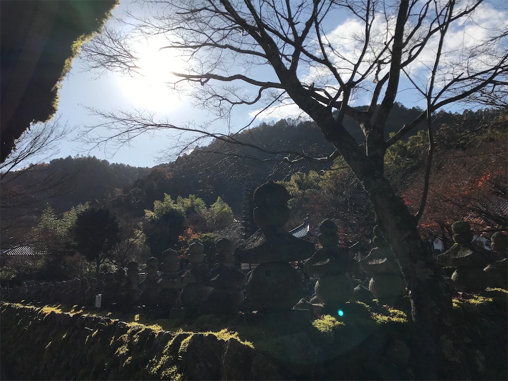 f:id:Mpapa:20191215165617j:image