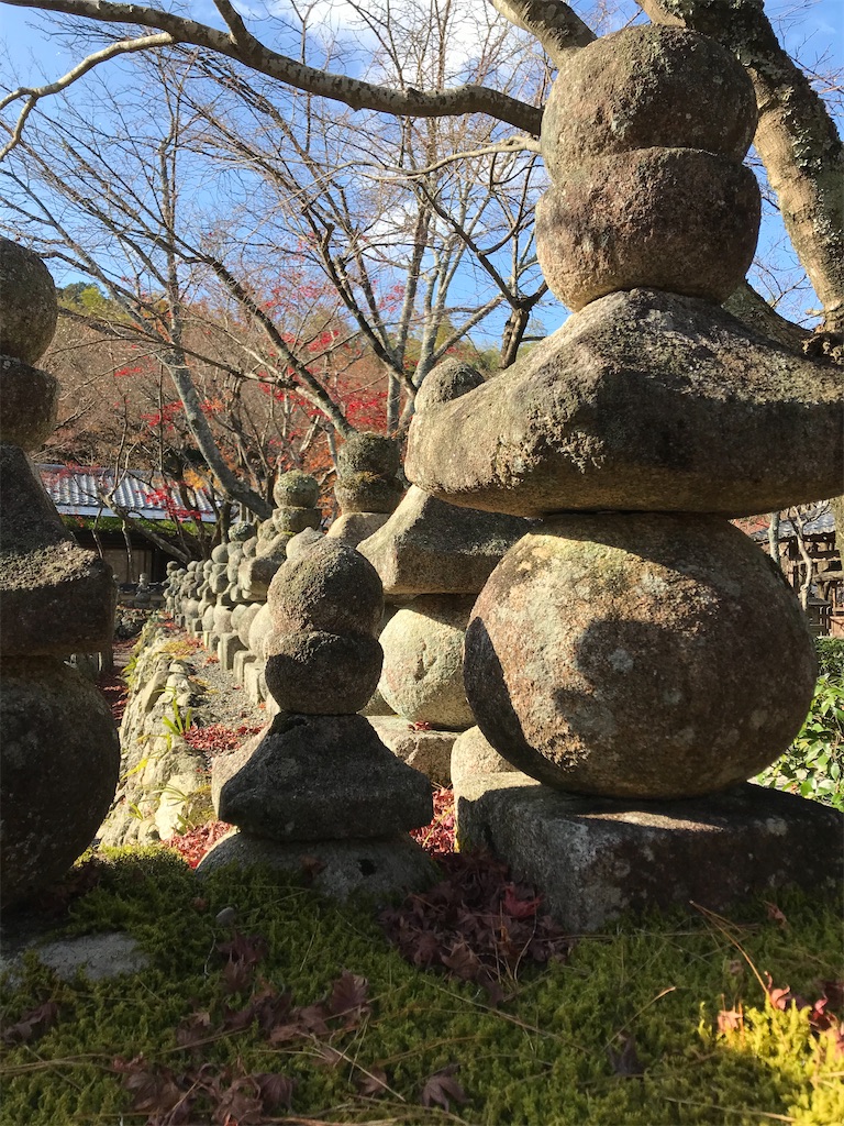 f:id:Mpapa:20191215165642j:image
