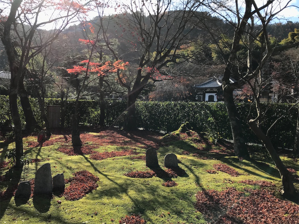 f:id:Mpapa:20191215165658j:image