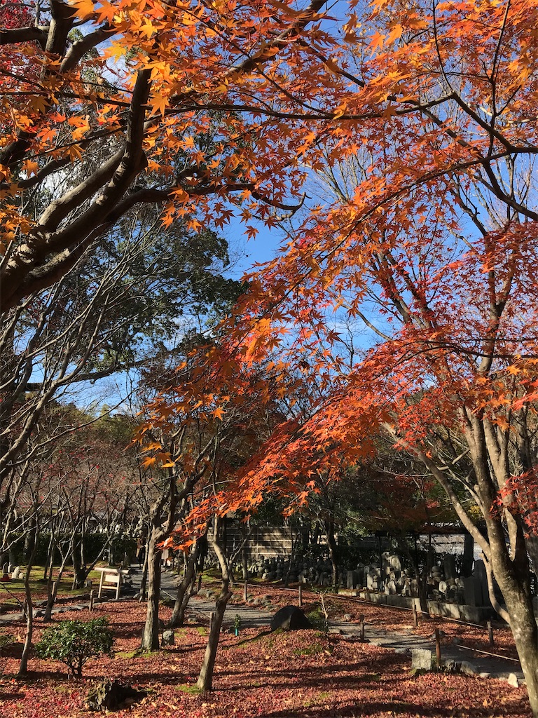 f:id:Mpapa:20191215165714j:image