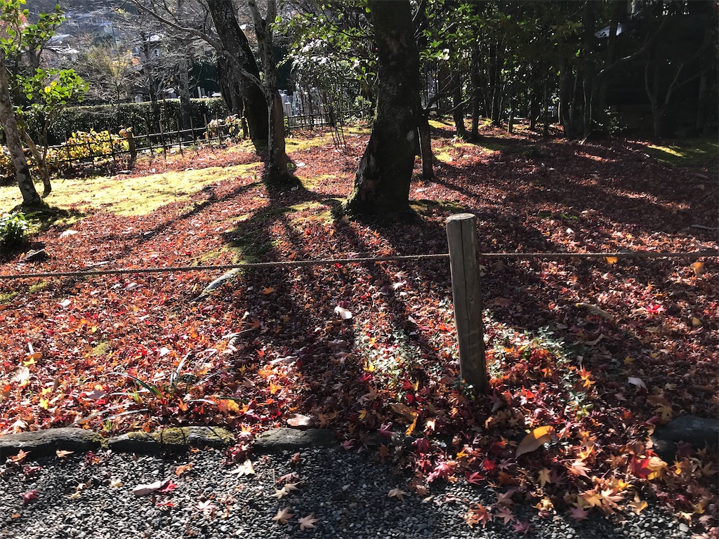 f:id:Mpapa:20191215165749j:image