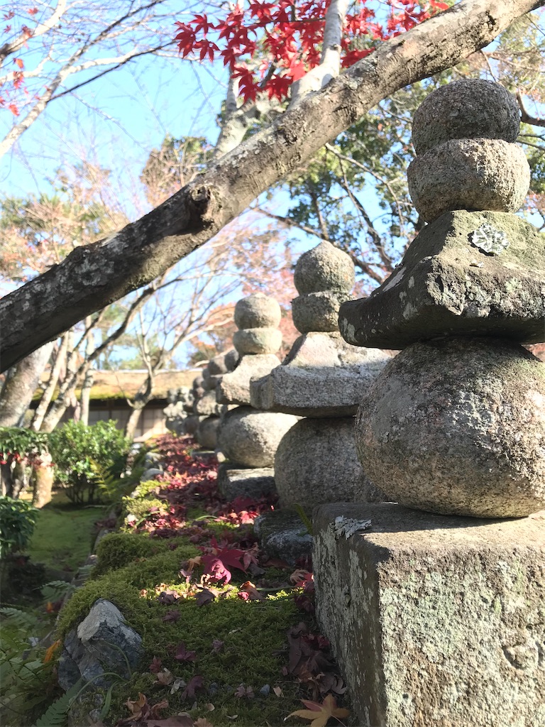 f:id:Mpapa:20191215165915j:image