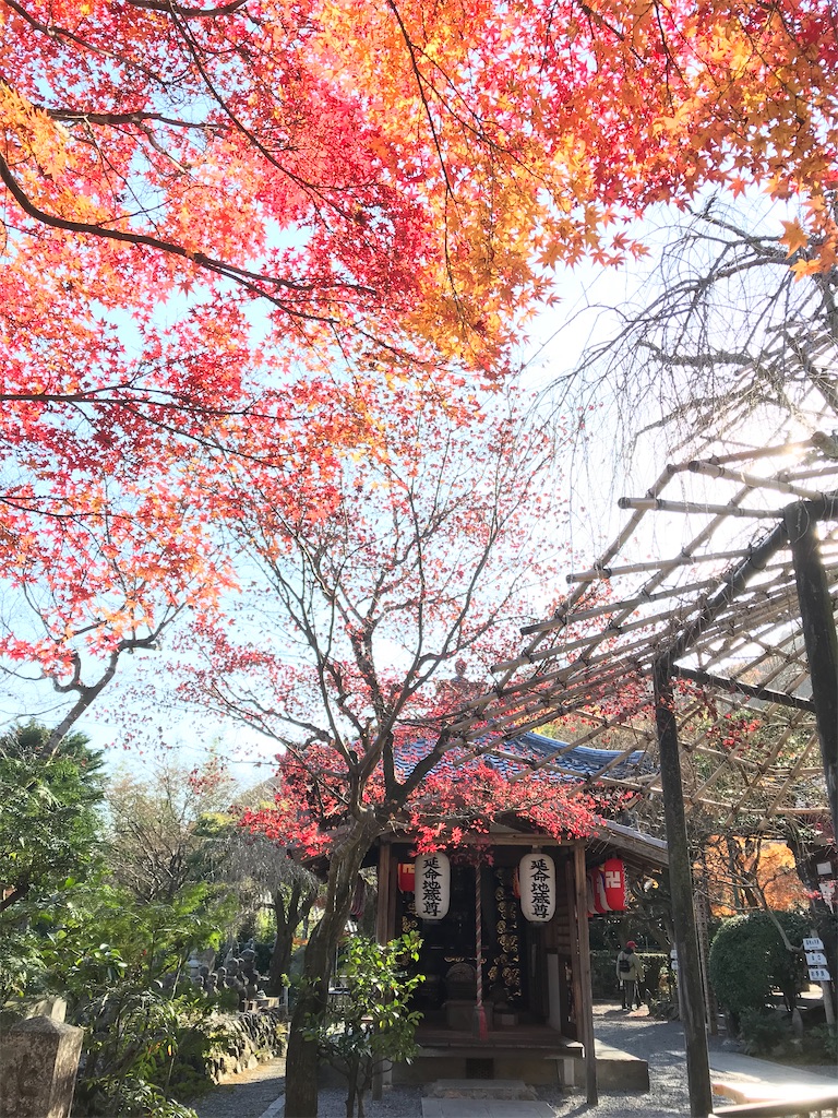 f:id:Mpapa:20191215165945j:image