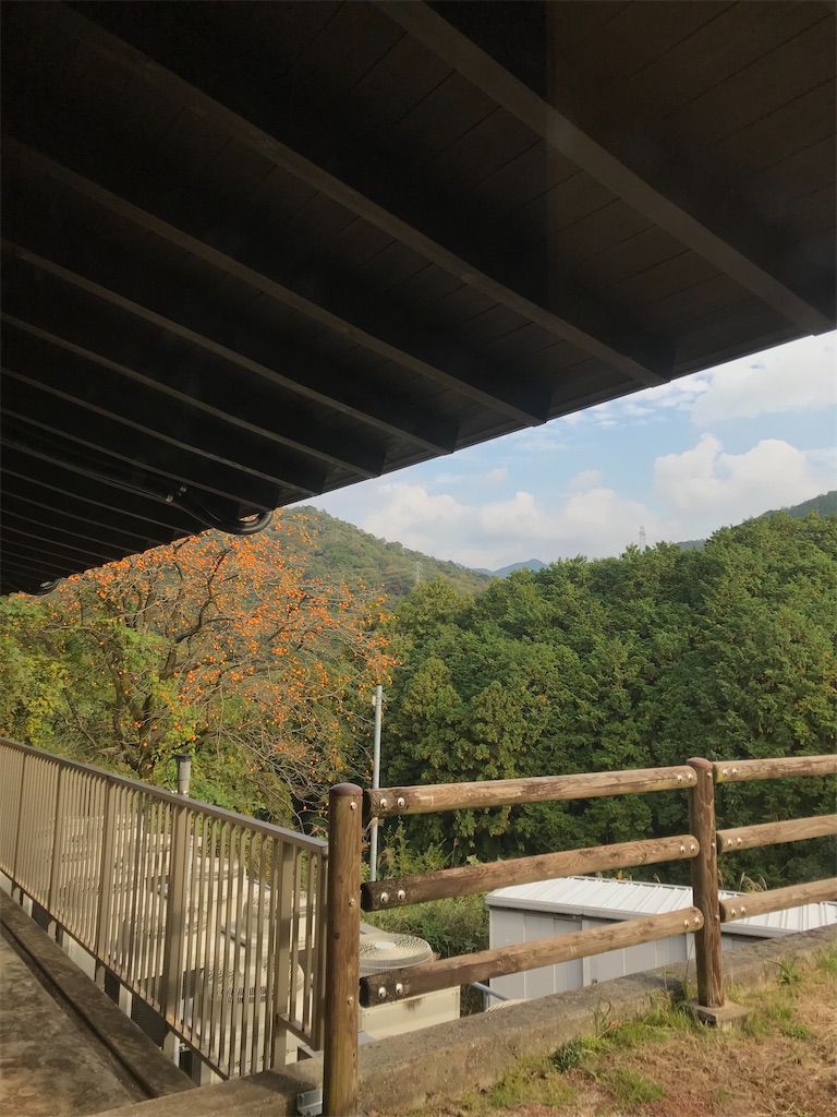 f:id:Mpapa:20201108154612j:image