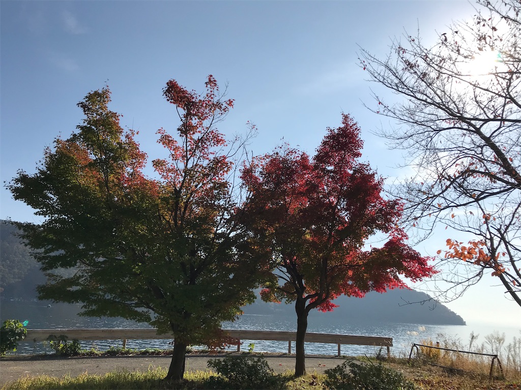 f:id:Mpapa:20201115101326j:image