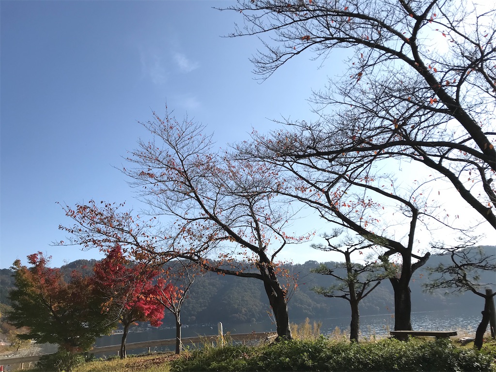 f:id:Mpapa:20201115101334j:image