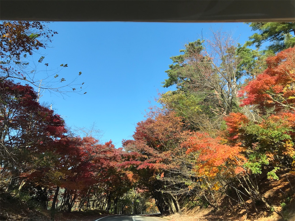 f:id:Mpapa:20201115120625j:image