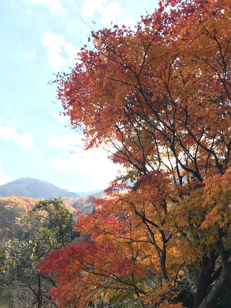 f:id:Mpapa:20201115145258j:image