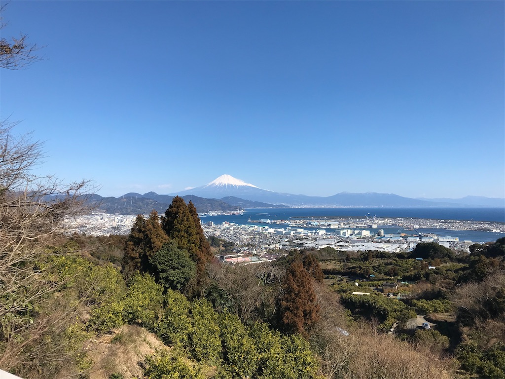 f:id:Mpapa:20210131190231j:image