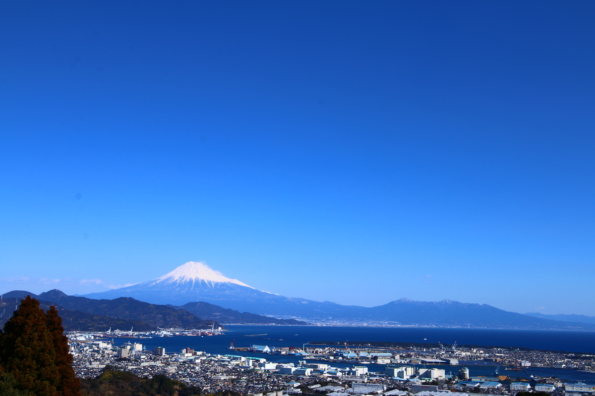 f:id:Mpapa:20210201210249j:plain