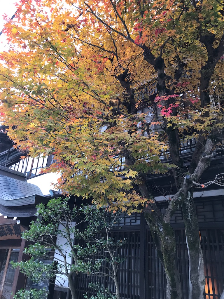 f:id:Mpapa:20211120204710j:image