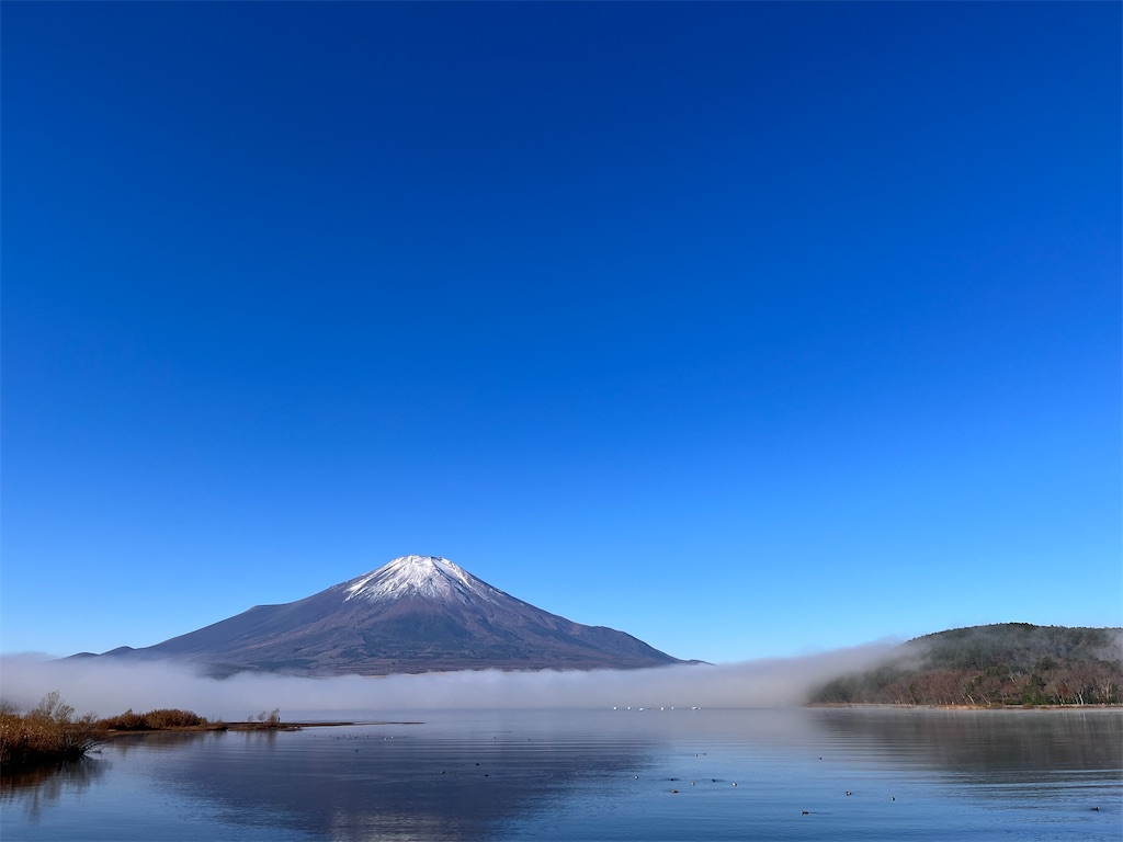 f:id:Mpapa:20221119181948j:image