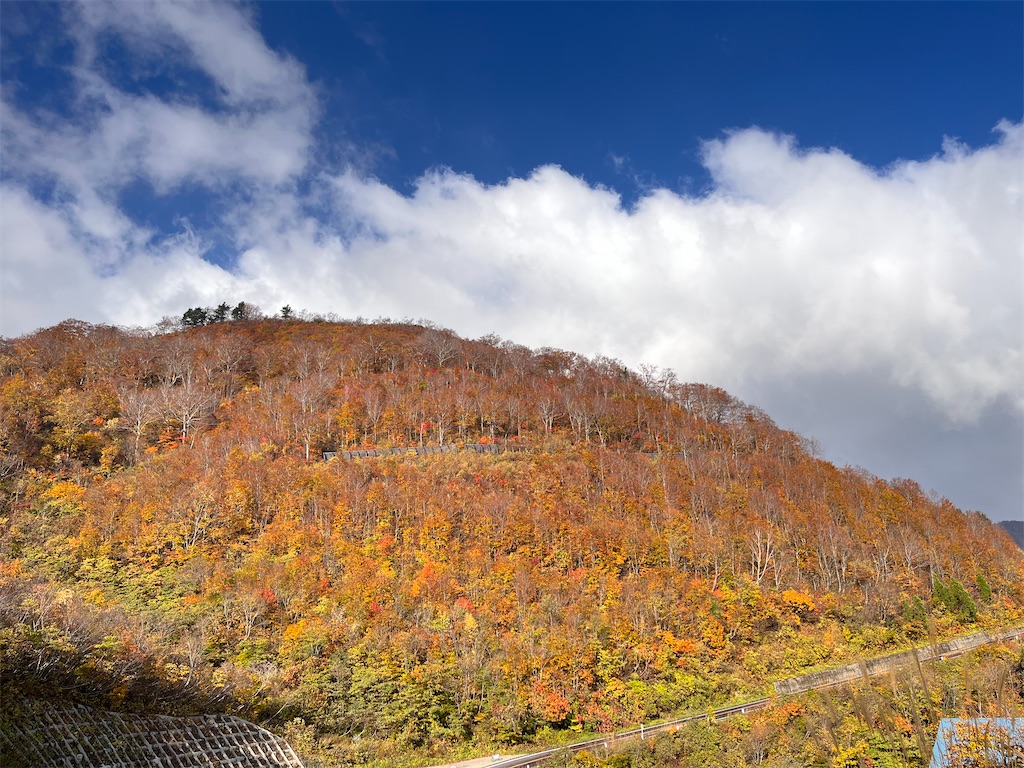 f:id:Mpapa:20241106190038j:image f:id:Mpapa:20241106190038j:image