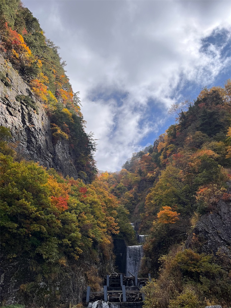 f:id:Mpapa:20241106190233j:image f:id:Mpapa:20241106190233j:image