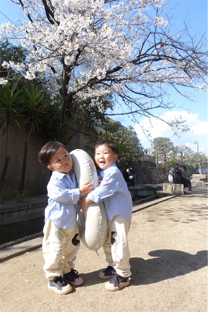 f:id:Mpapa:20250426091048j:image