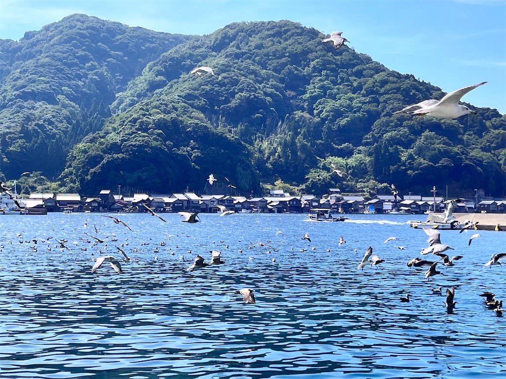 f:id:Mpapa:20250907105944j:image