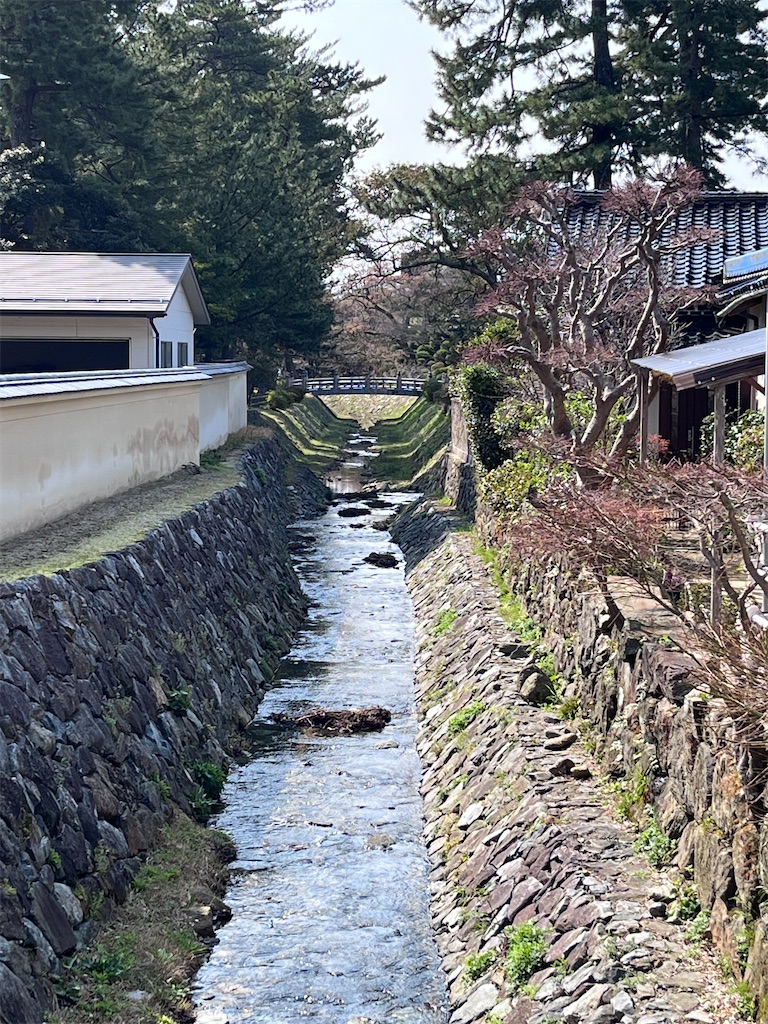 f:id:Mpapa:20260327201847j:image