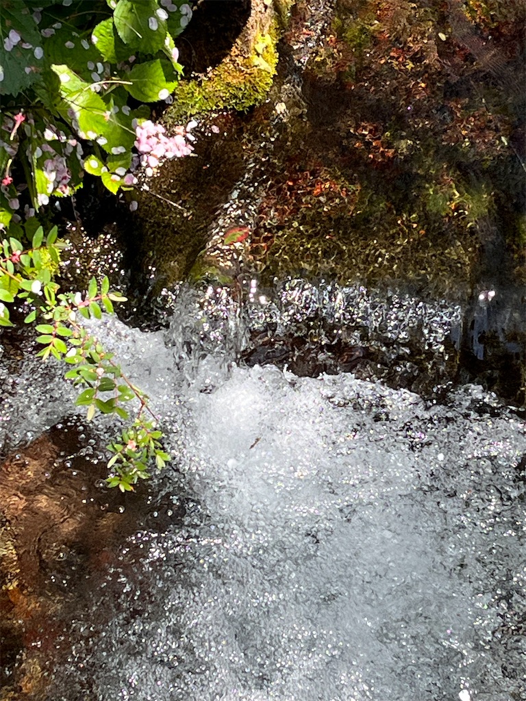 f:id:Mpapa:20260411201908j:image
