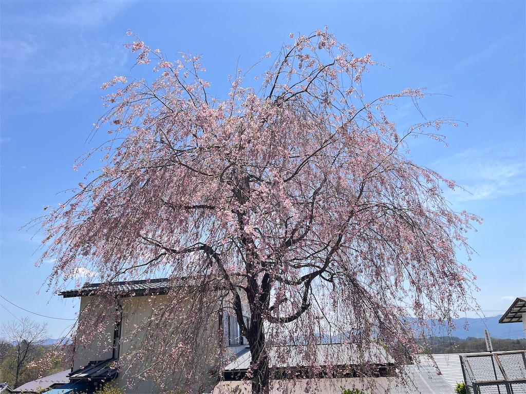 f:id:Mpapa:20260502112924j:image