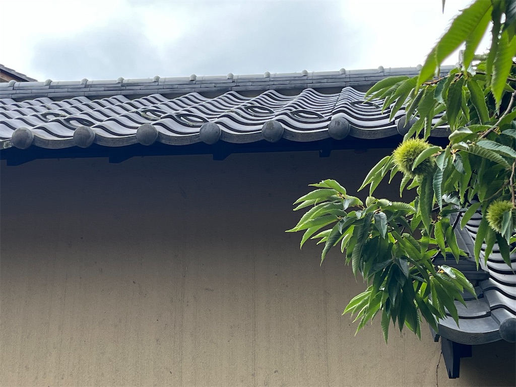 f:id:Mpapa:20260813074126j:image