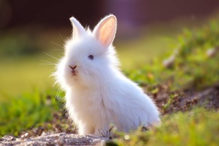 BN-TX728_BONDS0_M_20170619101205