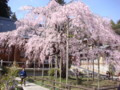 [栃木県][栃木]太山寺