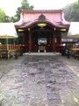 [神奈川県][鎌倉]鶴岡八幡宮