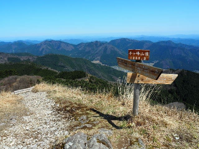 2024年4月10日(水) [北播磨]千ヶ峰、見どころいっぱい、滝だ、花だ