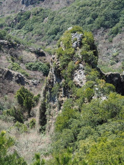 大型 15kg 群馬県南牧川石 ウブ 銘 寒霞渓 横36(cm) 2020年3月20日(金)～21日(土) [小豆島]寒霞渓と星ヶ城山へ、奇岩怪石の