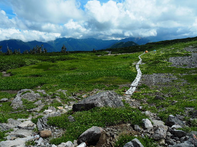 2025年8月1日(金)～3日(日) [立山連峰]一ノ越から五色ヶ原へ、お花と