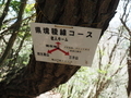 20260415214502