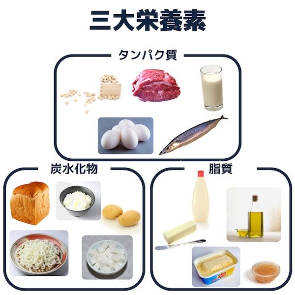 f:id:MrProtein:20180921223018j:plain f:id:MrProtein:20180921223018j:plain