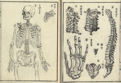 f:id:MrRadiology:20060626172034j:image:w360 f:id:MrRadiology:20060626172034j:image:w360