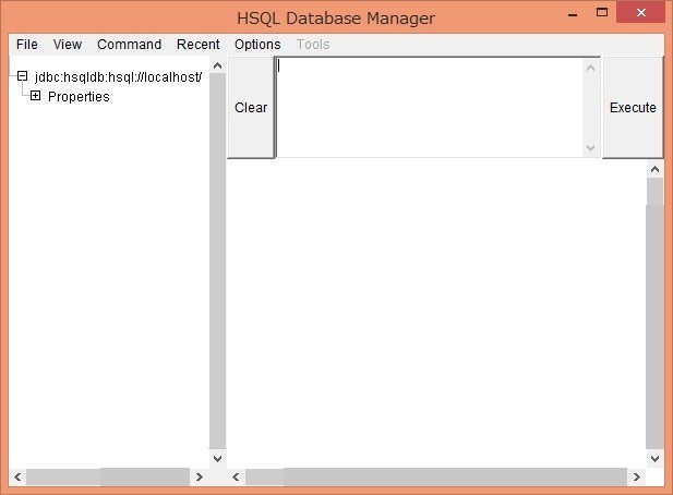 DatabaseManager起動成功