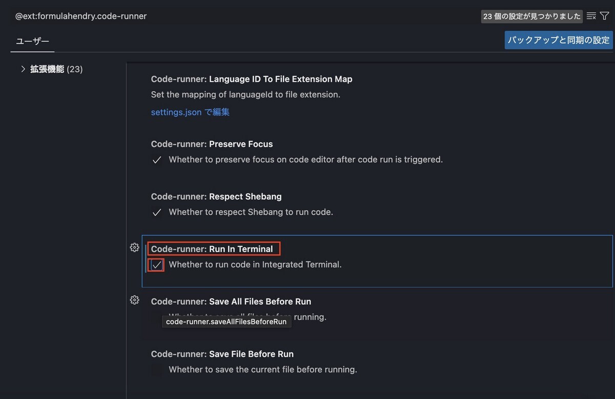 「Run In Terminal」にチェック
