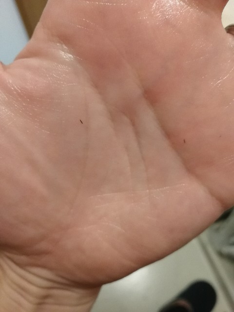 f:id:MrSoumen:20210313160751j:plain