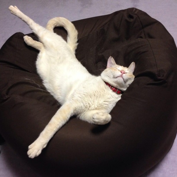 f:id:Mr_BlueSky:20180128172421j:plain