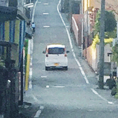 近所の坂 獣臭 近所の坂 獣臭