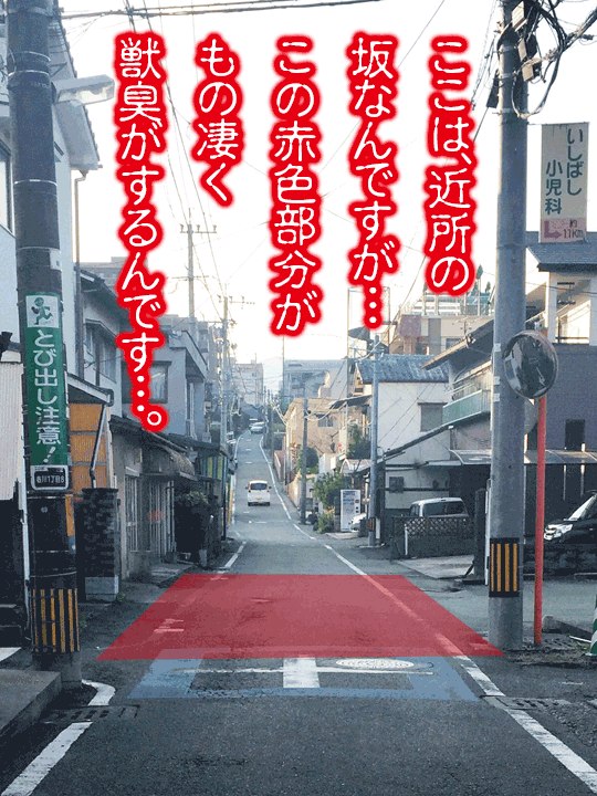 近所の坂 獣臭 因縁霊 地縛霊 近所の坂 獣臭 因縁霊 地縛霊