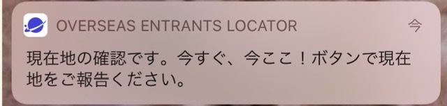 f:id:MrsOkiraku:20210531204529j:plain