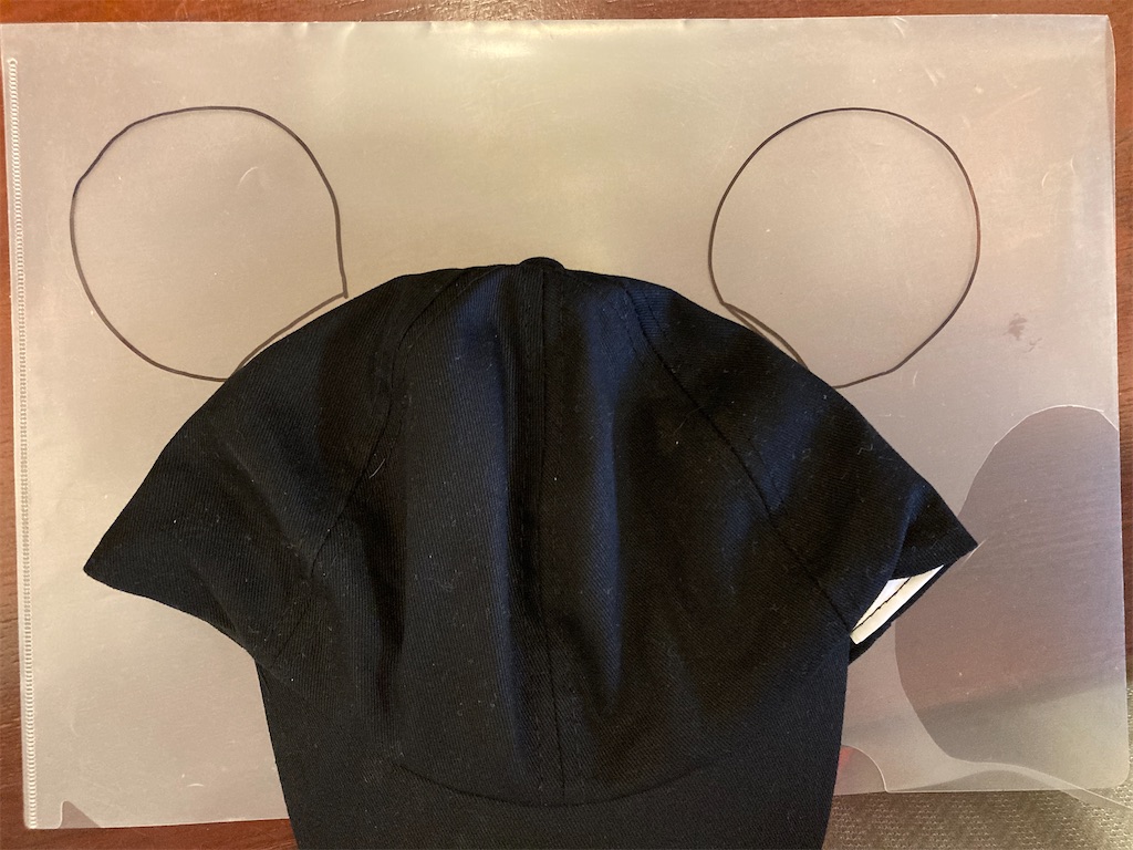 f:id:Mrs_Plum:20241023125754j:image