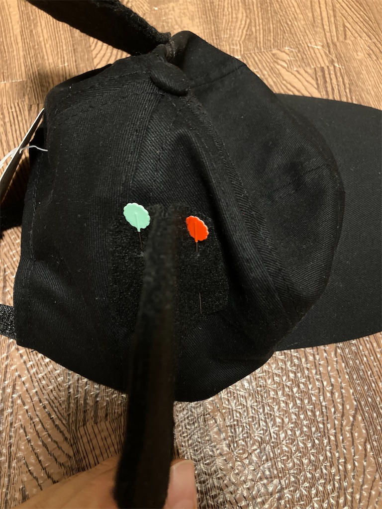 f:id:Mrs_Plum:20241023125819j:image